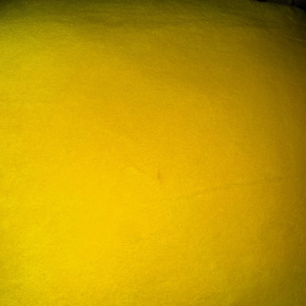 Leticia the Lemon Squishmallow
